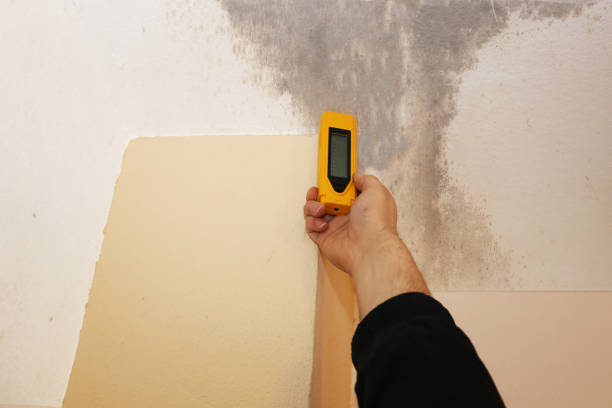 Mold Documentation for Insurance Claims in Colwich, KS